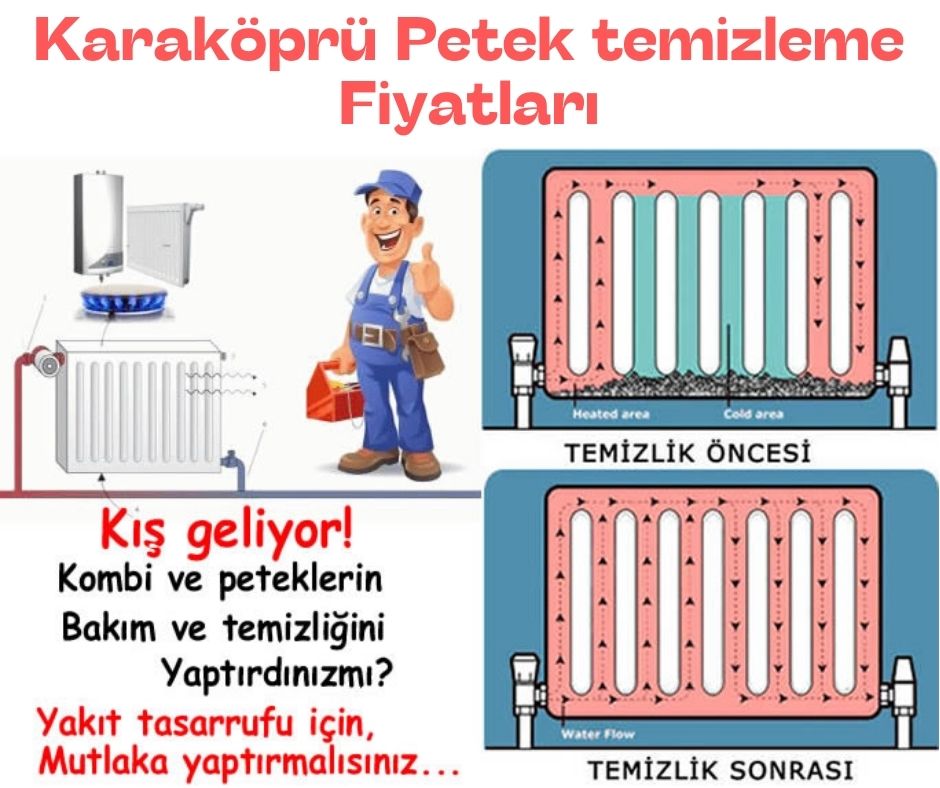 Kuşadası Petek Temizleme Fiyatları